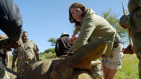 Dierendokter in het wild